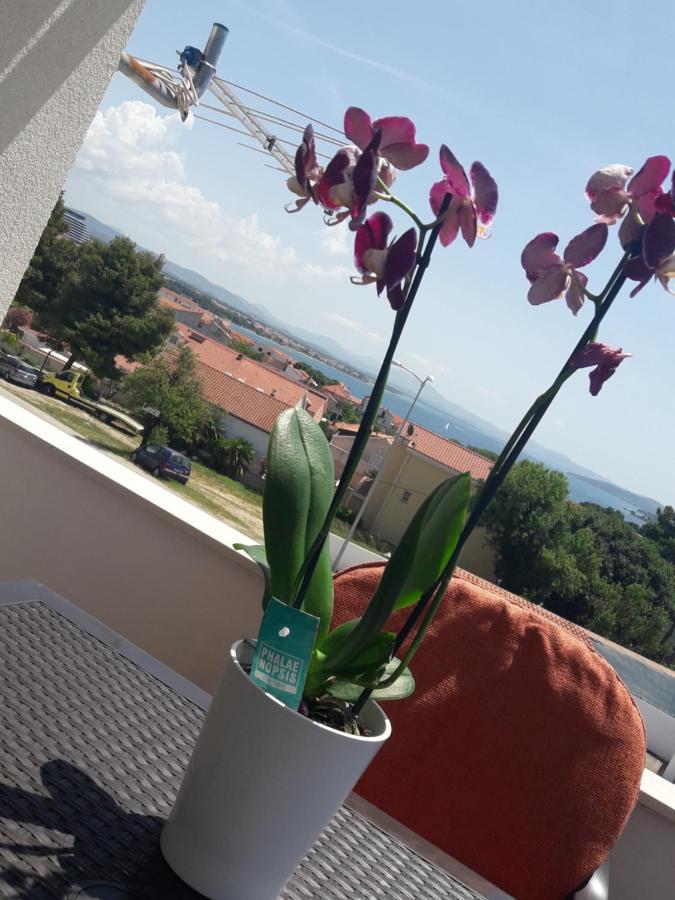 Apartments Dragicevic Vodice Exterior photo